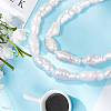 1 Strand Natural Cultured Freshwater Pearl Beads Strands PEAR-PA0001-14-4