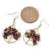 Natural Tiger Eye Chips Dangle Earrings EJEW-JE05726-03-3