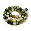 Natural Serpentine Beads Strands G-Q616-07D-3
