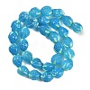 Handmade Lampwork Beads Strand LAMP-I027-10C-1