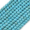 Synthetic Turquoise Beads Strands TURQ-F007-01B-6mm-2