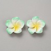 Two Tone Resin Cabochons RESI-WH20010-01B-1