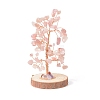 Natural Rose Quartz Chips with Brass Wrapped Wire Money Tree on Wood Base Display Decorations DJEW-B007-05G-1