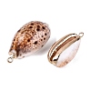 Electroplate Natural Cowrie Shell Pendants SSHEL-Q100-30KCG-2