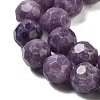 Natural Lepodolite Beads Strands G-C150-B03-02-3