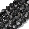 Natural Larvikite Beads Strands G-Z119-A32-02-3