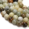Natural Butter Jade Beads Strands G-C289-B03-14mm-3