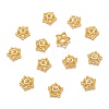 Tibetan Style Alloy Bead Caps LS-K08A7011-2