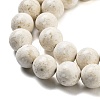 Natural Fossil Beads Strands G-H026-02A-4