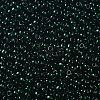 TOHO 11/0 Round Beads SEED-TR11-0939-2