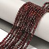 Natural Garnet Beads Strands LS-G-I341-09C-2