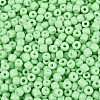 8/0 Baking Paint Glass Round Seed Beads SEED-S036-01B-02-3