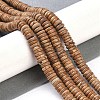 Natural Picture Jasper Beads Strands G-Q159-B06-01-2