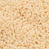 FGB 12/0 Grade A Round Glass Seed Beads SEED-R008-142-3
