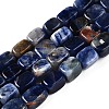 Natural Sodalite Beads Strands G-T141-11A-1