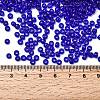 TOHO 6/0 Round Beads X-SEED-TR06-0008-3