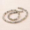 Natural Labradorite Round Beads Strands G-I168-03-6mm-2