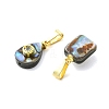 Natural Abalone Shell/Paua Shell Micro Pave Cubic Zirconia Pendants PALLOY-JF06002-2