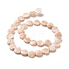 Natural Trochid Shell Beads Strands SSHEL-G023-16A-2