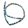 Dyed Synthetic Turquoise Beads Strands G-Z089-A04-R-4