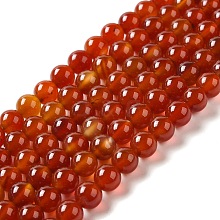 Natural Carnelian Beads Strands X-G-G390-8mm-03