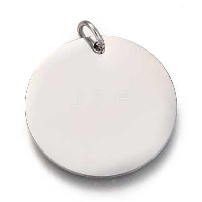 Non-Tarnish 304 Stainless Steel Charms EJEW-L238-03F-P-1
