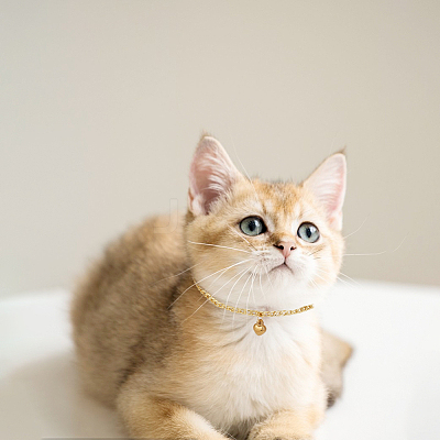 304 Stainless Steel Pendant Necklaces for Pet NJEW-DR00003-1