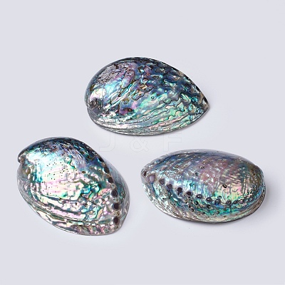 Natural Abalone Shell/Paua ShellDecoration SSHEL-K024-01B-1