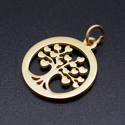 304 Stainless Steel Pendants LS-STAS-T046-JA350-2-1