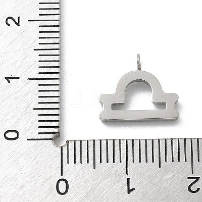 304 Stainless Steel Micro Pave Cubic Zirconia Charms STAS-Z107-09P-06-1