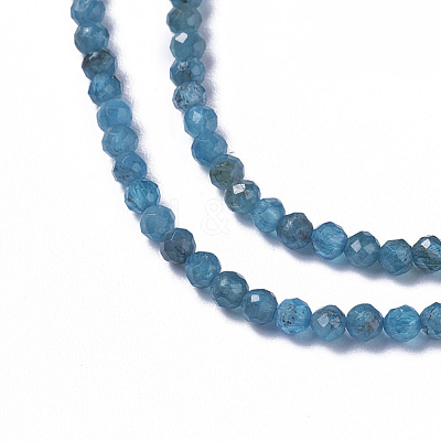 Natural Apatite Beads Strands X-G-F596-29-2mm-1