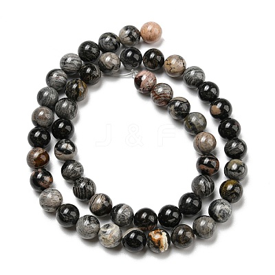 Natural Black Silver Leaf Jasper Beads Strands G-R494-A17-03-1