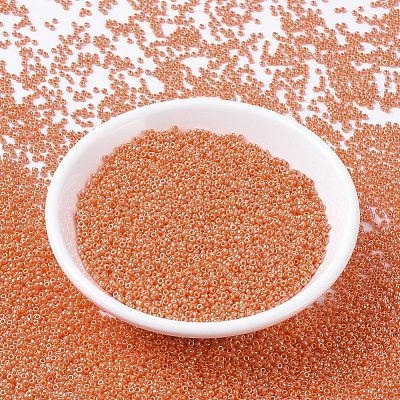 MIYUKI Round Rocailles Beads X-SEED-G007-RR0424-1