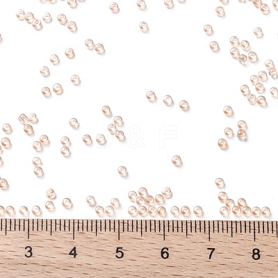 TOHO 11/0 Round Beads X-SEED-TR11-1813-1