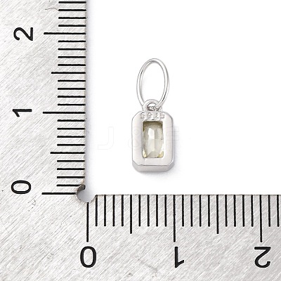 925 Sterling Silver Cubic Zirconia Charms STER-NH0014-01P-08-1