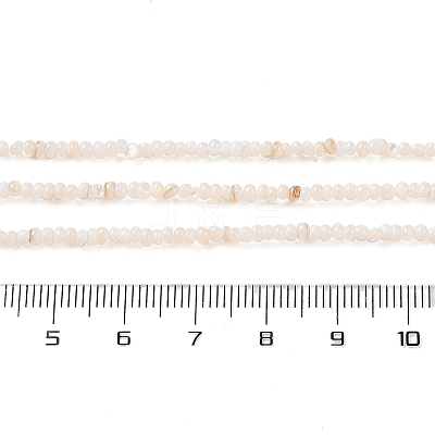 Natural Freshwater Shell Beads Strands SHEL-P017-01A-02-1