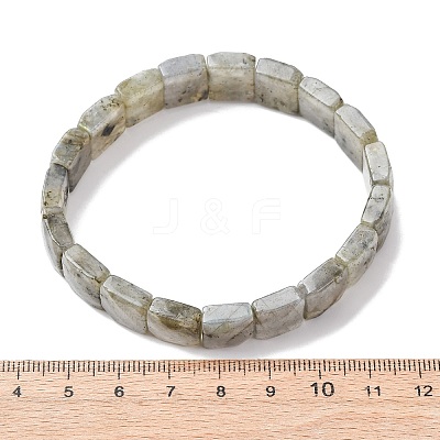 Natural Labradorite Faceted Beaded Stretch Bracelets for Women BJEW-K251-08A-1