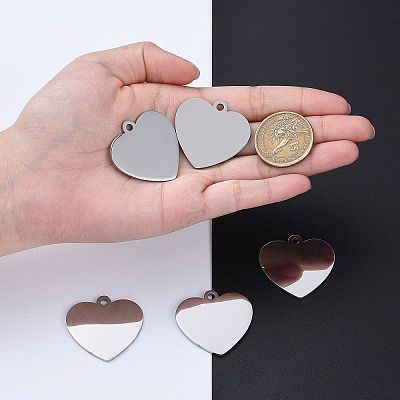 Tarnish Resistant 304 Stainless Steel Pendants LS-STAS-I140-10B-S-1
