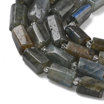 Natural Labradorite Beads Strands G-C270-K19-02-1