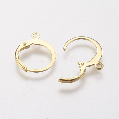 304 Stainless Steel Leverback Earring Findings LS-STAS-F141-02G-1