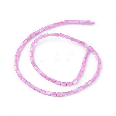Natural Freshwater Shell Dyed Beads Strands SHEL-M018-12-08-1