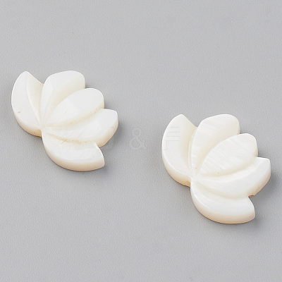 Natural Freshwater Shell Beads SHEL-S276-103-1
