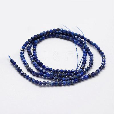 Natural Lapis Lazuli Beads Strands G-K185-01-1
