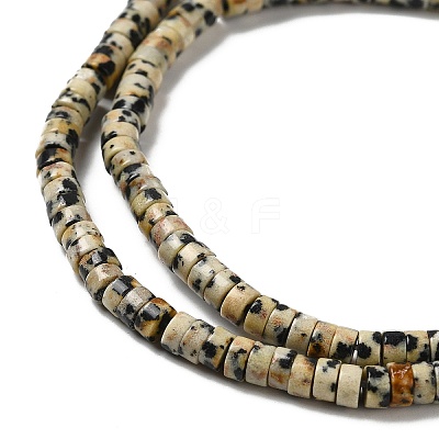 Natural Dalmatian Jasper Beads Strands G-E612-A01-B-1