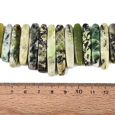 Natural Serpentine Beads Strands G-Q616-06D-1