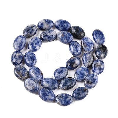 Natural Blue Spot Jasper Beads Strands G-M206-40-1