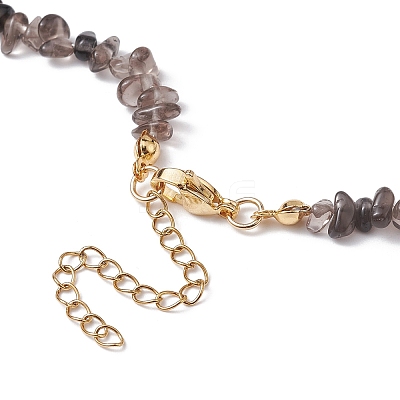 Natural Ice Obsidian Chip Beaded Necklace NJEW-JN04616-02-1