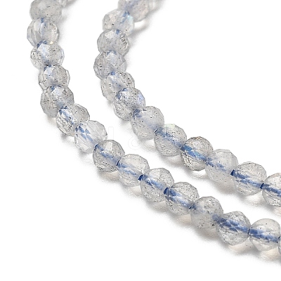 Natural Labradorite Beads Strands G-RM241221-A10-1