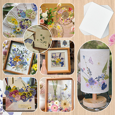 Dried Embossed Paper DIY-WH0622-646B-1