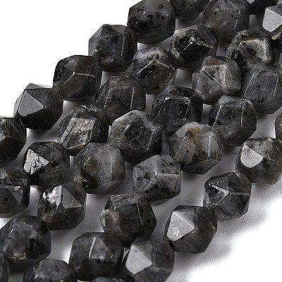 Natural Larvikite Beads Strands G-Z119-A32-02-1